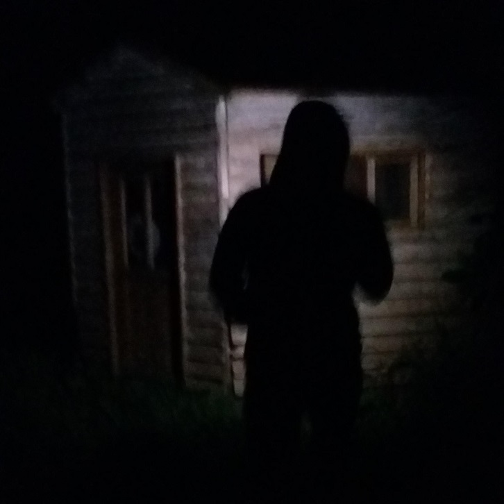 an image of a person's shadow silhouetted on a dollhouse